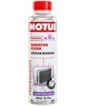 Motul Radiator Clean